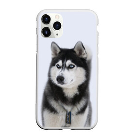Чехол для iPhone 11 Pro матовый с принтом ХАСКИ в Петрозаводске, Силикон |  | dog | husky | милый | пес | песик | собака | собачка | хаски | щенок