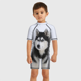 Детский купальный костюм 3D с принтом ХАСКИ в Петрозаводске, Полиэстер 85%, Спандекс 15% | застежка на молнии на спине | dog | husky | милый | пес | песик | собака | собачка | хаски | щенок