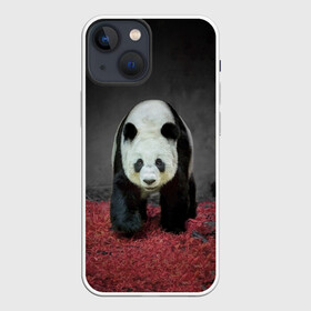 Чехол для iPhone 13 mini с принтом ПАНДА в Петрозаводске,  |  | panda | большая | в зоопарке | забавная | медведь | милая | панда | пандочка