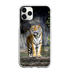 Чехол для iPhone 11 Pro матовый с принтом ТИГР В ЛЕСУ в Петрозаводске, Силикон |  | Тематика изображения на принте: tiger | амурский | бенгальский | в зоопарке | в лесу | дикий | кошка | крупная | полосатый | тигр | тигренок | тигрица