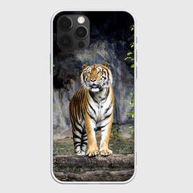 Чехол для iPhone 12 Pro Max с принтом ТИГР В ЛЕСУ в Петрозаводске, Силикон |  | tiger | амурский | бенгальский | в зоопарке | в лесу | дикий | кошка | крупная | полосатый | тигр | тигренок | тигрица