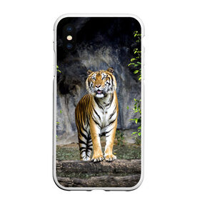 Чехол для iPhone XS Max матовый с принтом ТИГР В ЛЕСУ в Петрозаводске, Силикон | Область печати: задняя сторона чехла, без боковых панелей | tiger | амурский | бенгальский | в зоопарке | в лесу | дикий | кошка | крупная | полосатый | тигр | тигренок | тигрица