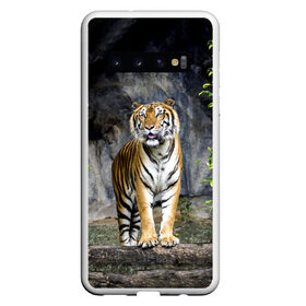 Чехол для Samsung Galaxy S10 с принтом ТИГР В ЛЕСУ в Петрозаводске, Силикон | Область печати: задняя сторона чехла, без боковых панелей | tiger | амурский | бенгальский | в зоопарке | в лесу | дикий | кошка | крупная | полосатый | тигр | тигренок | тигрица