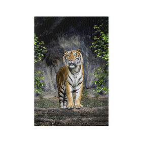 Обложка для паспорта матовая кожа с принтом ТИГР В ЛЕСУ в Петрозаводске, натуральная матовая кожа | размер 19,3 х 13,7 см; прозрачные пластиковые крепления | tiger | амурский | бенгальский | в зоопарке | в лесу | дикий | кошка | крупная | полосатый | тигр | тигренок | тигрица