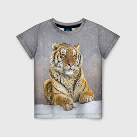 Детская футболка 3D с принтом ТИГР ЗИМОЙ в Петрозаводске, 100% гипоаллергенный полиэфир | прямой крой, круглый вырез горловины, длина до линии бедер, чуть спущенное плечо, ткань немного тянется | tiger | амурский | бенгальский | дикий | зима | зимой | кошка | крупная | полосатый | тигр | тигренок | тигрица