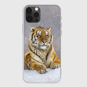 Чехол для iPhone 12 Pro Max с принтом ТИГР ЗИМОЙ в Петрозаводске, Силикон |  | Тематика изображения на принте: tiger | амурский | бенгальский | дикий | зима | зимой | кошка | крупная | полосатый | тигр | тигренок | тигрица