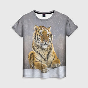 Женская футболка 3D с принтом ТИГР ЗИМОЙ в Петрозаводске, 100% полиэфир ( синтетическое хлопкоподобное полотно) | прямой крой, круглый вырез горловины, длина до линии бедер | tiger | амурский | бенгальский | дикий | зима | зимой | кошка | крупная | полосатый | тигр | тигренок | тигрица