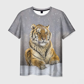 Мужская футболка 3D с принтом ТИГР ЗИМОЙ в Петрозаводске, 100% полиэфир | прямой крой, круглый вырез горловины, длина до линии бедер | tiger | амурский | бенгальский | дикий | зима | зимой | кошка | крупная | полосатый | тигр | тигренок | тигрица