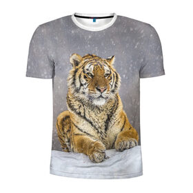 Мужская футболка 3D спортивная с принтом ТИГР ЗИМОЙ в Петрозаводске, 100% полиэстер с улучшенными характеристиками | приталенный силуэт, круглая горловина, широкие плечи, сужается к линии бедра | tiger | амурский | бенгальский | дикий | зима | зимой | кошка | крупная | полосатый | тигр | тигренок | тигрица