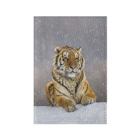 Обложка для паспорта матовая кожа с принтом ТИГР ЗИМОЙ в Петрозаводске, натуральная матовая кожа | размер 19,3 х 13,7 см; прозрачные пластиковые крепления | Тематика изображения на принте: tiger | амурский | бенгальский | дикий | зима | зимой | кошка | крупная | полосатый | тигр | тигренок | тигрица