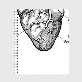 Тетрадь с принтом Схема сердца в Петрозаводске, 100% бумага | 48 листов, плотность листов — 60 г/м2, плотность картонной обложки — 250 г/м2. Листы скреплены сбоку удобной пружинной спиралью. Уголки страниц и обложки скругленные. Цвет линий — светло-серый
 | Тематика изображения на принте: надписи | органы | сердце | схема