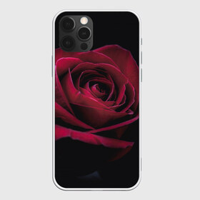 Чехол для iPhone 12 Pro Max с принтом роза в Петрозаводске, Силикон |  | Тематика изображения на принте: гибридная роза | красная роза | роза | чайная роза | черная роза