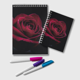 Блокнот с принтом роза в Петрозаводске, 100% бумага | 48 листов, плотность листов — 60 г/м2, плотность картонной обложки — 250 г/м2. Листы скреплены удобной пружинной спиралью. Цвет линий — светло-серый
 | Тематика изображения на принте: гибридная роза | красная роза | роза | чайная роза | черная роза