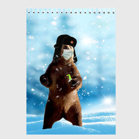 Скетчбук с принтом Зимний мишка в реалиях 2020 г. в Петрозаводске, 100% бумага
 | 48 листов, плотность листов — 100 г/м2, плотность картонной обложки — 250 г/м2. Листы скреплены сверху удобной пружинной спиралью | зима | маска | медведь | новый год