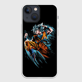 Чехол для iPhone 13 mini с принтом Fighter в Петрозаводске,  |  | anime | art | character | drawing | fighter | street fighter | аниме | арт | боец | каратист | персонаж | рисунок | уличный боец