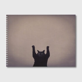 Альбом для рисования с принтом Кот сдается в Петрозаводске, 100% бумага
 | матовая бумага, плотность 200 мг. | Тематика изображения на принте: cat | арест | испуг | кот | руки вверх | черный кот
