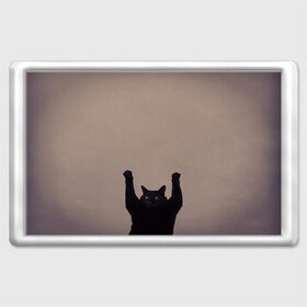 Магнит 45*70 с принтом Кот сдается в Петрозаводске, Пластик | Размер: 78*52 мм; Размер печати: 70*45 | cat | арест | испуг | кот | руки вверх | черный кот