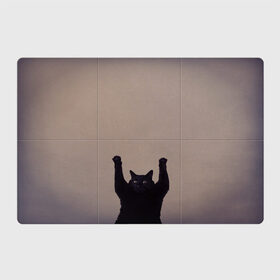 Магнитный плакат 3Х2 с принтом Кот сдается в Петрозаводске, Полимерный материал с магнитным слоем | 6 деталей размером 9*9 см | cat | арест | испуг | кот | руки вверх | черный кот