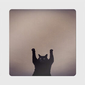 Магнит виниловый Квадрат с принтом Кот сдается в Петрозаводске, полимерный материал с магнитным слоем | размер 9*9 см, закругленные углы | cat | арест | испуг | кот | руки вверх | черный кот