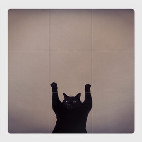 Магнитный плакат 3Х3 с принтом Кот сдается в Петрозаводске, Полимерный материал с магнитным слоем | 9 деталей размером 9*9 см | cat | арест | испуг | кот | руки вверх | черный кот