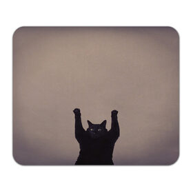 Коврик для мышки прямоугольный с принтом Кот сдается в Петрозаводске, натуральный каучук | размер 230 х 185 мм; запечатка лицевой стороны | Тематика изображения на принте: cat | арест | испуг | кот | руки вверх | черный кот