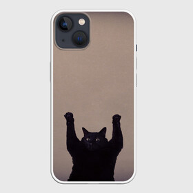 Чехол для iPhone 13 с принтом Кот сдается в Петрозаводске,  |  | cat | арест | испуг | кот | руки вверх | черный кот