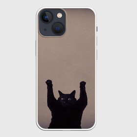 Чехол для iPhone 13 mini с принтом Кот сдается в Петрозаводске,  |  | Тематика изображения на принте: cat | арест | испуг | кот | руки вверх | черный кот