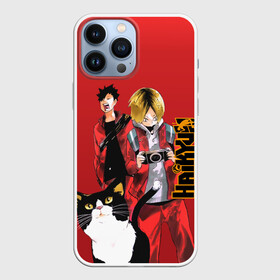 Чехол для iPhone 13 Pro Max с принтом Haikyuu Тобио Кагэяма в Петрозаводске,  |  | anime | haikyu | haikyu хайкю | аниме | волейбол | спортивная манга