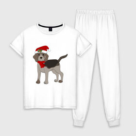 Женская пижама хлопок с принтом Новогодний Бигль в Петрозаводске, 100% хлопок | брюки и футболка прямого кроя, без карманов, на брюках мягкая резинка на поясе и по низу штанин | Тематика изображения на принте: 2021 | бигль | зима | зимняя собака | милый | нарядная собака | новогодний щенок | новый год | подарок | собака | собака в шапке | шарф | щенок | щенок с шарфом