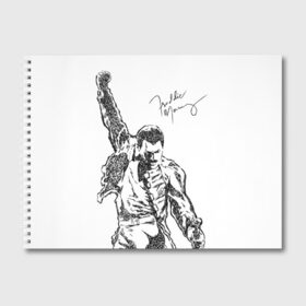 Альбом для рисования с принтом Freddie Mercury в Петрозаводске, 100% бумага
 | матовая бумага, плотность 200 мг. | Тематика изображения на принте: freddie mercury | queen | автограф | квин | фредди меркьюри