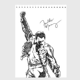 Скетчбук с принтом Freddie Mercury в Петрозаводске, 100% бумага
 | 48 листов, плотность листов — 100 г/м2, плотность картонной обложки — 250 г/м2. Листы скреплены сверху удобной пружинной спиралью | freddie mercury | queen | автограф | квин | фредди меркьюри