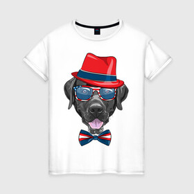 Женская футболка хлопок с принтом Мажор  в Петрозаводске, 100% хлопок | прямой крой, круглый вырез горловины, длина до линии бедер, слегка спущенное плечо | арт | графика | животные | лабрадор | собаки