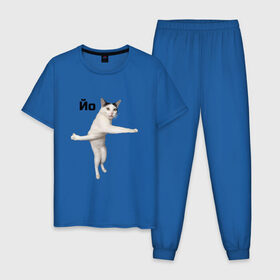 Мужская пижама хлопок с принтом Крутой кот в Петрозаводске, 100% хлопок | брюки и футболка прямого кроя, без карманов, на брюках мягкая резинка на поясе и по низу штанин
 | 