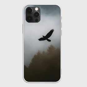 Чехол для iPhone 12 Pro Max с принтом Орёл над лесом в Петрозаводске, Силикон |  | bird | dark | fog | forest | heaven | jh k | ktc | sky | texture | деревья | животные | лес | небо | орел | природа | птица | птицы | текстуры | тёмный лес | туман