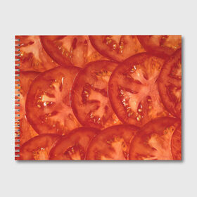 Альбом для рисования с принтом Помидорки в Петрозаводске, 100% бумага
 | матовая бумага, плотность 200 мг. | Тематика изображения на принте: арт | еда | лето | овощ | овощи | помидор | помидорки | помидоры | рисунок | томат | томаты