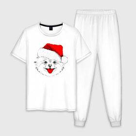 Мужская пижама хлопок с принтом Веселый Щенок Санта в Петрозаводске, 100% хлопок | брюки и футболка прямого кроя, без карманов, на брюках мягкая резинка на поясе и по низу штанин
 | 