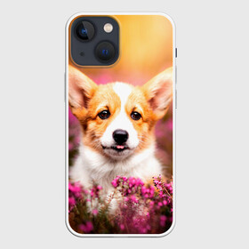 Чехол для iPhone 13 mini с принтом Вельш корги в Петрозаводске,  |  | dog | вельш | вельш корги | животные | корги | пес | природа | собака | собаки | собакчка | собачки