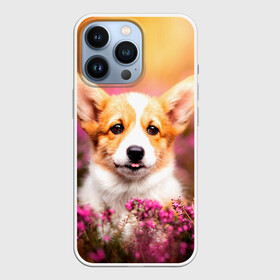 Чехол для iPhone 13 Pro с принтом Вельш корги в Петрозаводске,  |  | dog | вельш | вельш корги | животные | корги | пес | природа | собака | собаки | собакчка | собачки