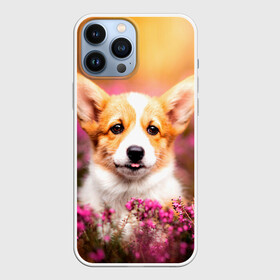 Чехол для iPhone 13 Pro Max с принтом Вельш корги в Петрозаводске,  |  | dog | вельш | вельш корги | животные | корги | пес | природа | собака | собаки | собакчка | собачки