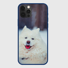 Чехол для iPhone 12 Pro Max с принтом САМОЕД в Петрозаводске, Силикон |  | animals | dog | winter | домашние | друг | животные | звери | зима | лайка | пес | песель | природа | пушистый | самоед | собаки | собачка | хаски