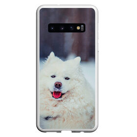 Чехол для Samsung Galaxy S10 с принтом САМОЕД в Петрозаводске, Силикон | Область печати: задняя сторона чехла, без боковых панелей | animals | dog | winter | домашние | друг | животные | звери | зима | лайка | пес | песель | природа | пушистый | самоед | собаки | собачка | хаски