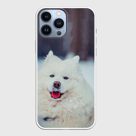 Чехол для iPhone 13 Pro Max с принтом САМОЕД в Петрозаводске,  |  | animals | dog | winter | домашние | друг | животные | звери | зима | лайка | пес | песель | природа | пушистый | самоед | собаки | собачка | хаски