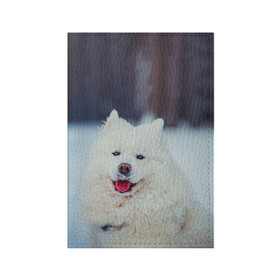 Обложка для паспорта матовая кожа с принтом САМОЕД в Петрозаводске, натуральная матовая кожа | размер 19,3 х 13,7 см; прозрачные пластиковые крепления | animals | dog | winter | домашние | друг | животные | звери | зима | лайка | пес | песель | природа | пушистый | самоед | собаки | собачка | хаски