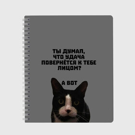 Тетрадь с принтом Кот к удаче в Петрозаводске, 100% бумага | 48 листов, плотность листов — 60 г/м2, плотность картонной обложки — 250 г/м2. Листы скреплены сбоку удобной пружинной спиралью. Уголки страниц и обложки скругленные. Цвет линий — светло-серый
 | cat | luck | кот | мотивация | неприличное | удача | успех