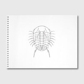 Альбом для рисования с принтом трилобит агрессивный в Петрозаводске, 100% бумага
 | матовая бумага, плотность 200 мг. | Тематика изображения на принте: агрессия | доисторические животные | жуткие животные | насекомые | палеонтология | трилобиты