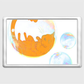 Магнит 45*70 с принтом Котик в пузыре, рыжий в Петрозаводске, Пластик | Размер: 78*52 мм; Размер печати: 70*45 | звери | котики | коты | кошки | милый | подарок | пузырь | рыжий