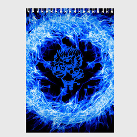 Скетчбук с принтом Лев в синем пламени в Петрозаводске, 100% бумага
 | 48 листов, плотность листов — 100 г/м2, плотность картонной обложки — 250 г/м2. Листы скреплены сверху удобной пружинной спиралью | lion | лев | огонь | пламя | синий