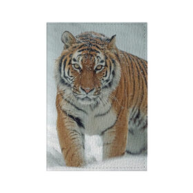 Обложка для паспорта матовая кожа с принтом Тигр в Петрозаводске, натуральная матовая кожа | размер 19,3 х 13,7 см; прозрачные пластиковые крепления | животное | животные | звери | зверь | зима | кот | кошка | природа | снег | тигр | тигра | тигры | хищник | хищники