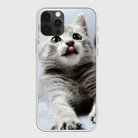 Чехол для iPhone 12 Pro Max с принтом серый котенок в Петрозаводске, Силикон |  | Тематика изображения на принте: grey kitten | kitten | котенок | милый котенок | серый котенок