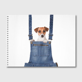 Альбом для рисования с принтом ЩЕНОК В КАРМАШКЕ в Петрозаводске, 100% бумага
 | матовая бумага, плотность 200 мг. | dog | jeans | packet | гав | джинсовый | дружок | животные | звери | карман | комбинезон | ломашние | одежда | пес | собака | щенок